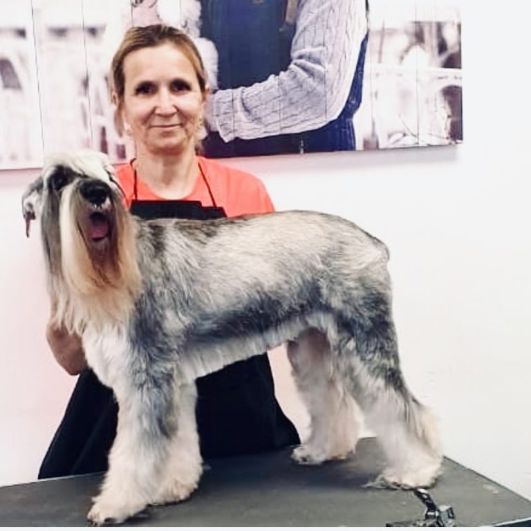 Groomer with a big dog